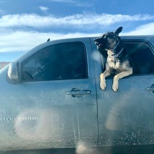 Meet your Posher, Cheyenne